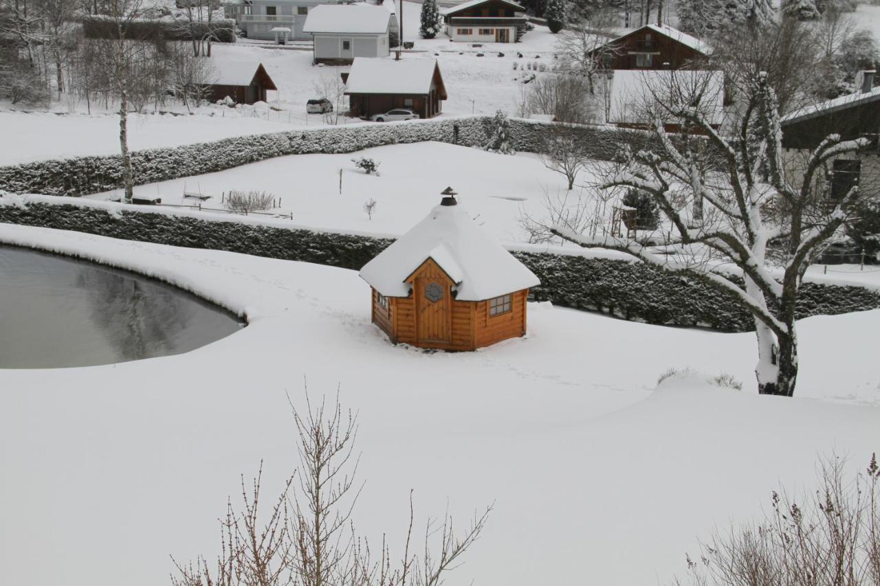 Chalet Centauree - Remy Herold 克松吕-隆日梅 外观 照片